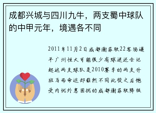 成都兴城与四川九牛，两支蜀中球队的中甲元年，境遇各不同